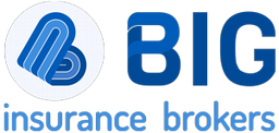 BIG INSURANCE BROKERS logo