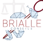 BRIALLE CONSEILS logo